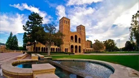 1607428260450325.jpg 640.webp (31).jpg